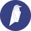 Ravencoin RVN Logo