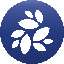 NKN NKN Logo