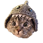 Shark Cat SC Logo