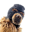 Ski Mask Dog SKI Logo