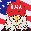 American Coin USA Logo
