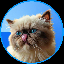 Mr Miggles MIGGLES Logo