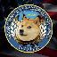 Department Of Government Efficiency (dogegov.com) DOGE Logo