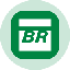 Petrobras Tokenized Stock (Ondo) PBRon Logo