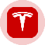 Tesla Tokenized Stock (Ondo) TSLAon Logo