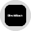 Blackrock, Inc. Tokenized Stock (Ondo) BLKon Logo