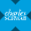 Schwab International Equity Tokenised ETF (xStock) SCHFx Logo