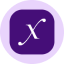 Direxion Daily Semi Bull 3X ETF Tokenized ETF (Ondo) SOXLon Logo