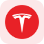 Tesla Tokenized Stock (Reality) rTSLA Logo