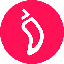 Chiliz CHZ Logo
